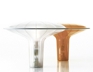 AGARIOCN: Table