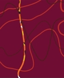 Silk Road Weaves : ELEMENTS / Fire Islands - Wool and Silk, 100 knots Silk Road Weaves : ELEMENTS / Fire Islands - Wool and Silk, 100 knots