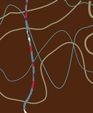 Silk Road Weaves : ELEMENTS / Pathways - Wool and Silk, 100 knots Silk Road Weaves : ELEMENTS / Pathways - Wool and Silk, 100 knots