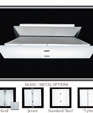 Baci Flush Mount