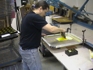 Screen Printing