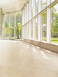Character, Porcelain Stone Character, Porcelain Stone