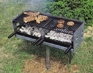 Family Sized Grill Family Sized Grill