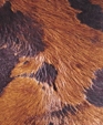 Hair on Hides - Special Treatments
