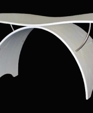 Wing