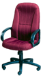 COP 6590