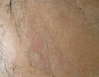 Stone Veneer