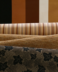 Cachet Collection