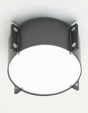d8110 MERIDIAN Ceiling Fixture/Wall Sconce