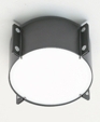d8110 MERIDIAN Ceiling Fixture/Wall Sconce d8110 MERIDIAN Ceiling Fixture/Wall Sconce