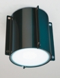 d8111 MERIDIAN Ceiling Fixture/Wall Sconce