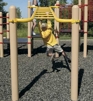Inclined Horizontal Ladder