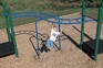 S-Horizontal Ladder