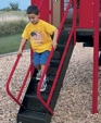 Step Ladder Climber