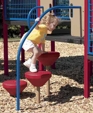 Pod Climber Pod Climber