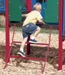 Wiggle Ladder Wiggle Ladder