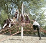 Large Play Net 2360