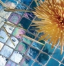 Original Style Glass Mosaics Original Style Glass Mosaics