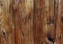 MUSHROOM BOARD MUSHROOM BOARD