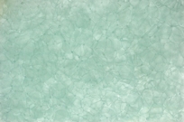 Bio Glass Bio Glass