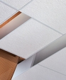 USG Ceilings Astro ClimaPlus Acoustical Ceiling Panels