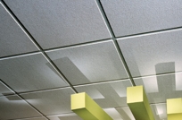 USG Ceilings Pebbled ClimaPlus Acoustical Ceiling Panels