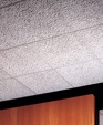 USG Ceilings Glacier Acoustical Ceiling Panels