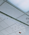 USG Ceilings Renditions Face-Routed Acoustical Ceiling Panels USG Ceilings Renditions Face-Routed Acoustical Ceiling Panels