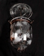 Fern Bell Jar