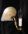 Seashell Sconce Seashell Sconce