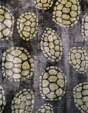 Tortoise Shell