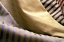 Brenta Stripe