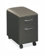 Flagship® Mobile Pedestal 