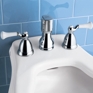 Standard Collection® Bidet Faucet Standard Collection® Bidet Faucet