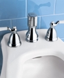 Standard Collection® Bidet Faucet Standard Collection® Bidet Faucet