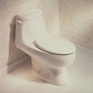 Savona® One-Piece Elongated Toilet Savona® One-Piece Elongated Toilet