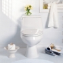 Cadet One-Piece Elongated Toilet