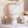 Cadet Right Height™ 14" Elongated Toilet