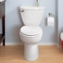 Cadet® 3 Right Height™ Elongated Toilet 10" Rough Cadet® 3 Right Height™ Elongated Toilet 10" Rough