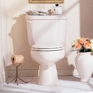Cadet Right Height™ Elongated Toilet