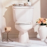 Cadet 14" Elongated Toilet