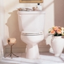 Cadet 10" Elongated Toilet