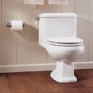 Williamsburg One-Piece Elongated Toilet Williamsburg One-Piece Elongated Toilet