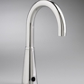 Selectronic™ Electronic Proximity Lavatory Faucet