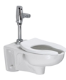 Afwall FloWise™ Elongated Toilet Afwall FloWise™ Elongated Toilet