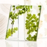 Pressed Glass