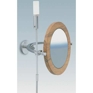 Mirror Pure Stainless/Maple Lighted Wall Magnifying Mirror Mirror Pure Stainless/Maple Lighted Wall Magnifying Mirror