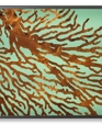 sea fan lightbox sea fan lightbox