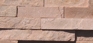 Desert Rose