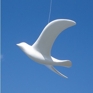 birds in flight | bright white